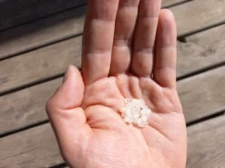 Nématodes Mouches Des Terreaux En Micro-capsules Par 200 -vidaXL Magasin 644181f5c5e9a8.52300689