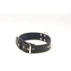 MARTIN SELLIER Alter Ego : Collier Pour Chiens En Cuir Avec Des Strass Swarovski