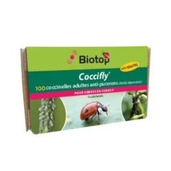 100 Coccinelles Adultes Anti-pucerons - Coccifly