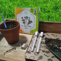 Coffret De Semences Médicinales Aromatique Apéritifs Régionaux -vidaXL Magasin 645a39a7621da9.71396115