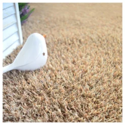 Gazon Synthétique Arty - Couleur Beige - 20mm - 1m X 6m