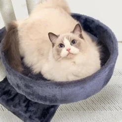 Arbre A Chat Garfield - 55x40x116 Cm Gris 9 Arbre A Chat Garfield - 55x40x116 Cm Gris -vidaXL Magasin 645d6440136264.67532029