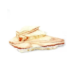 Jeu De Plaques Arc-en-ciel Taille Xl