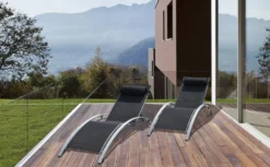 Baisao - Bain De Soleil Courbé Textilène Aluminium - Inclinable - Coussin De Tête - Léger Et Confortable - Gris/gris - X2 -vidaXL Magasin 646d14a13104c9.91728158