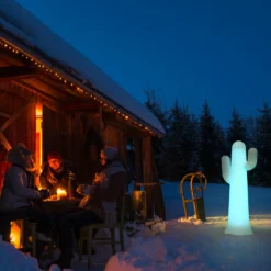 Lampadaire Cactus Pancho Batterie Rechargeable Led Rgb Avec Télécommande Hauteur 140cm -vidaXL Magasin 646f52554e2c45.32819627