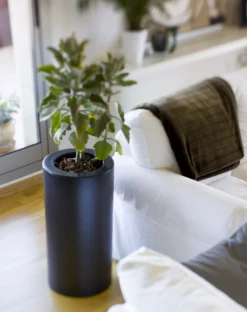 Pot De Fleurs Rond Palma 70 Noir Opaque ø35x70cm -vidaXL Magasin 6470a378b67063.35409589