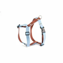 MARTIN SELLIER Alter Ego : Le Harnais Pour Chiens Qui Apporte De La Couleur à Vos Promenades