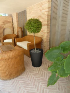 Pot De Fleurs Gerbera ø50x59,5cm - Anthracite -vidaXL Magasin 6478c7f4b074b2.90633905