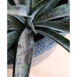 Pot à Fleurs Waste Smooth 35x34 Cm Gris -vidaXL Magasin 6479895f3d13c8.20407758