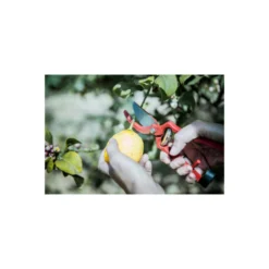 Sécateur à Main En Acier Bellota - 25mm - 350523 -vidaXL Magasin 648b4e431e6c58.16868914