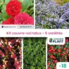 Kit Couvre Sols Talus - 5 Variétés - Lot De 18 Plants En Godet