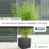 Kit Bambou Campbell En Pot De 5 L Avec Bac Pour Balcon