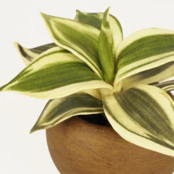 Plante Verte Artificielle Pot Effet Bois 14cm -vidaXL Magasin 70dafe3be5665a69