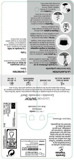 Lavande X Intermedia Dutch Lavander Pot 3L -vidaXL Magasin 739237 002