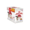 ROYAL CANIN Aliment En Gelée Instinctive 12X85G Dont 4 Grt