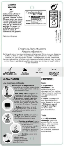 Bambou Non-traçant Fargesia Angustissima: Pot De 5 Litres -vidaXL Magasin 825296 007