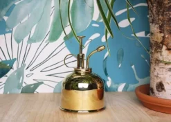 Vaporisateur En Laiton Doré Pour Plantes D'intérieur -vidaXL Magasin 829216 001