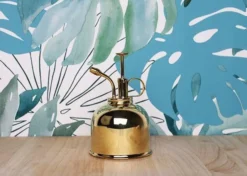 Vaporisateur En Laiton Doré Pour Plantes D'intérieur -vidaXL Magasin 829216 003