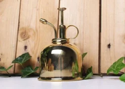 Vaporisateur En Laiton Doré Pour Plantes D'intérieur -vidaXL Magasin 829216 004