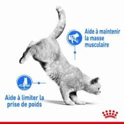 ROYAL CANIN Croquettes Chat Adulte Limite Prise De Poids Light Weight 3kg -vidaXL Magasin 837029 005