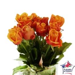 Botte 10 Roses ''Fleurs De France'' H.50cm Coloris Variables